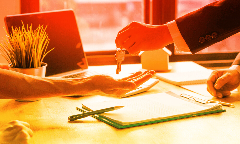 Landlord Representation